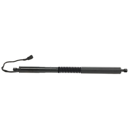 Liftgate Lift Support for Right/Left Side