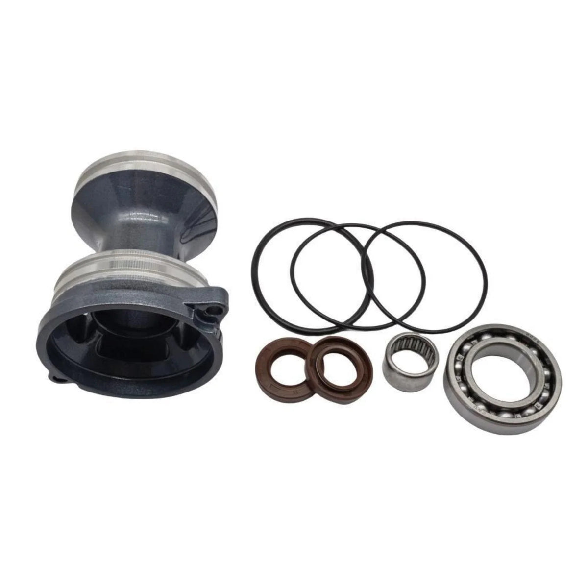 Lower Casing Cap with Oil Seal Assembly for Yamaha (93101-20M07, 93210-65M50)