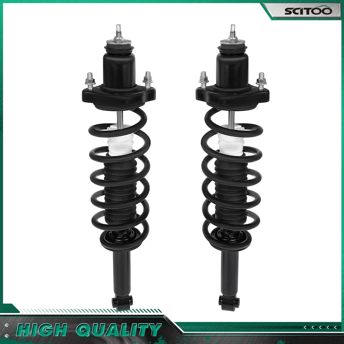 Rear Struts with Coil Spring Assembly for Dodge Journey (2009-2010)