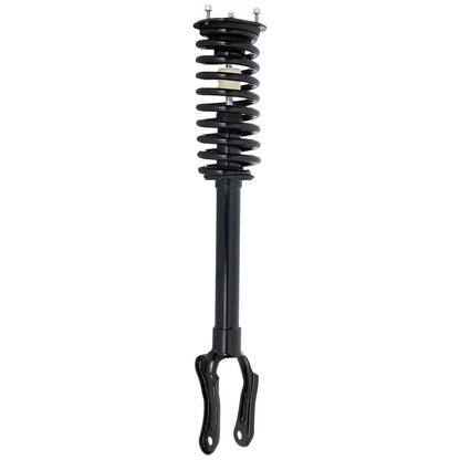 Strut Set of 2 for