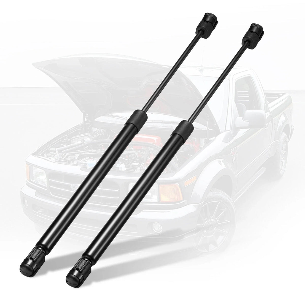 Hood Lift Support Struts for 2004–2008 Ford F-150 (2-Piece)