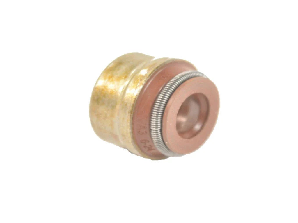 Engine Valve Stem Oil Seal for Fiat 500, Dodge Dart (2012–2020)