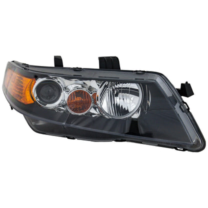 Xenon Headlight for Acura TSX (2006–2008)