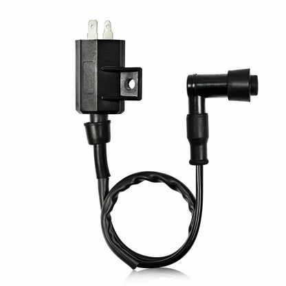 Spark Plug CDI Ignition Coil for Kawasaki Bayou 220 2000-2002