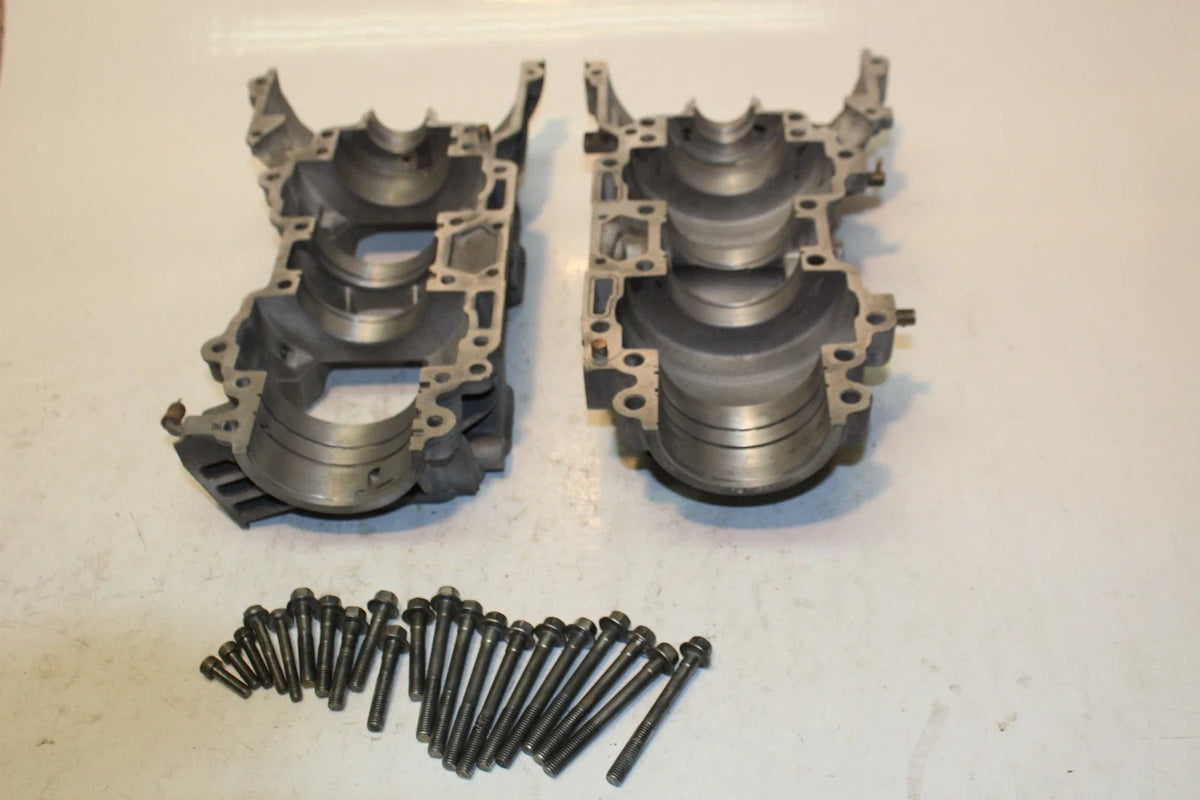 Engine Crank Case for Ski-Doo MXZ 700 Millennium Edition (1999–1999)