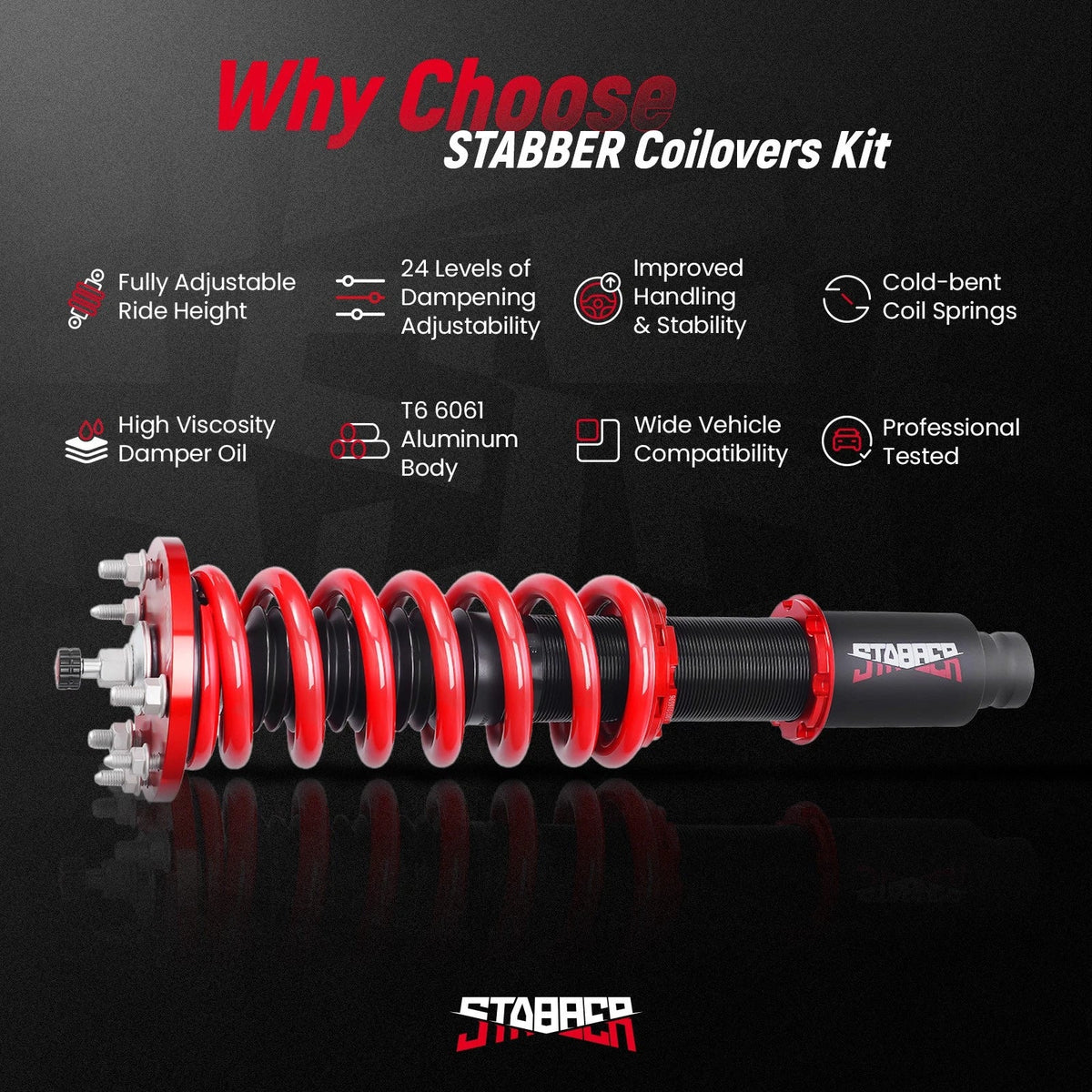 Lowering Coilovers Suspension Kit 24 Step for Honda Accord 08-12