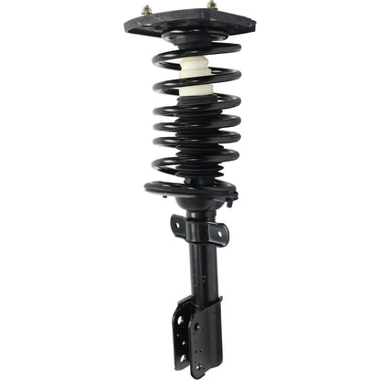 Set of 2 Loaded Struts
