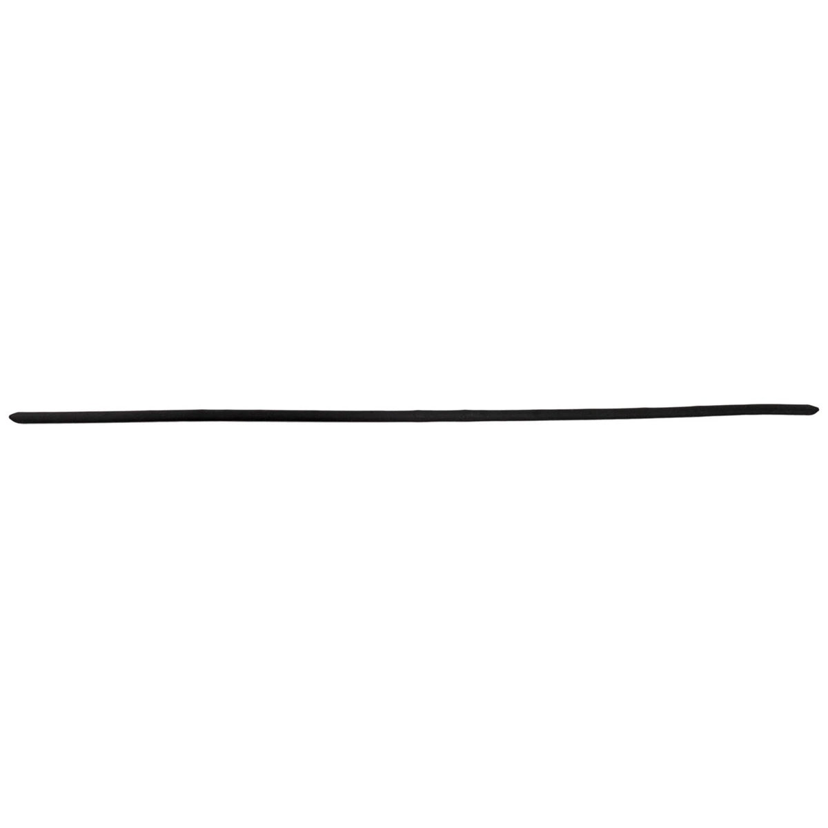 Weatherstrip Seal for Ford Mustang (2024)