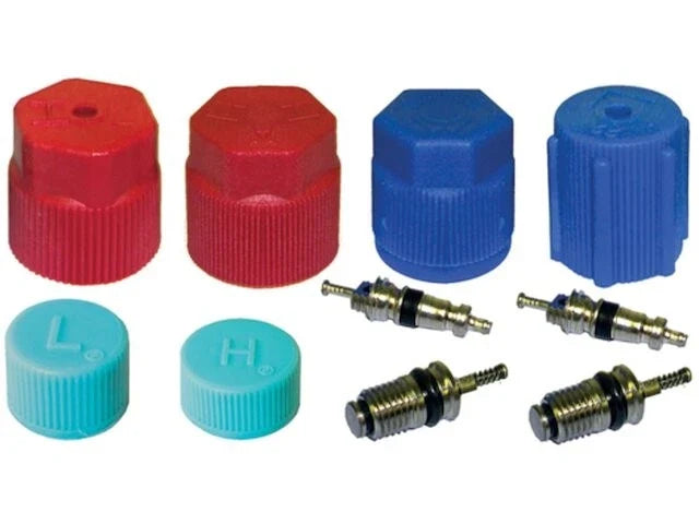 A/C System Valve Core and Cap Kit for Jaguar XKR (2000–2002) HP879KJ