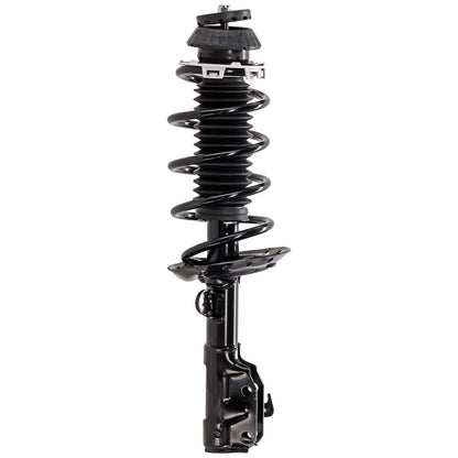Set of 2 Loaded Struts