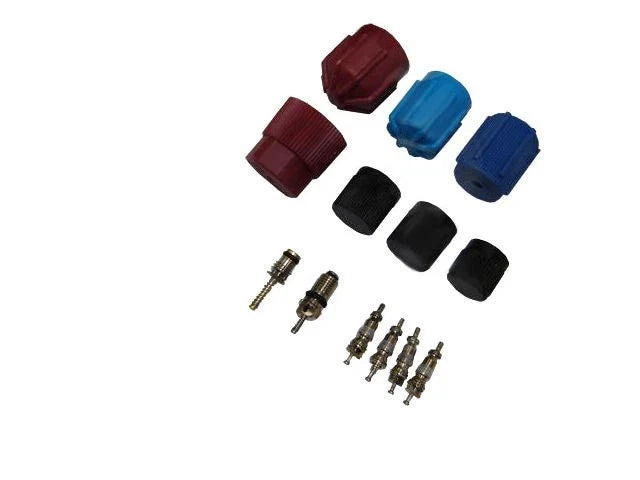 A/C System Valve Core and Cap Kit for Mazda B2600 (1987–1993) GN551HS
