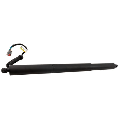Liftgate Lift Support Driver Left Side for Ford Edge (2015–2018)