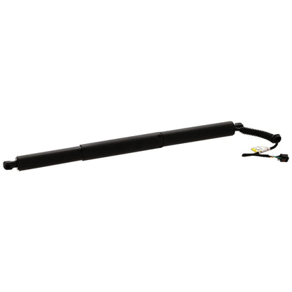 Lift Supports for Liftgate Audi Q5