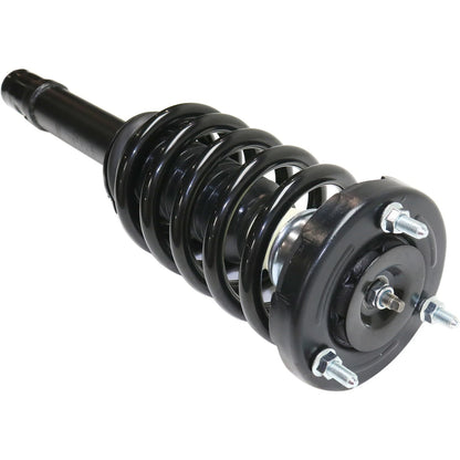 Strut Set of 2