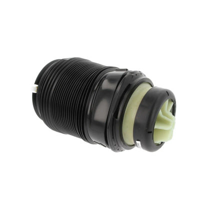 Shock and Strut Air Spring for Mercedes-Benz (Rear Left)