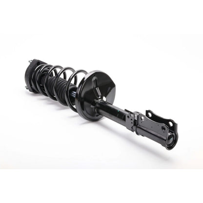 Strut Set of 4