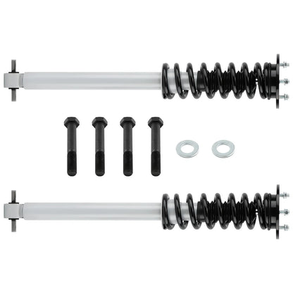 Front Lift Nitrogen Struts 6" for Ford F-150 4WD (2014–2023) - Set of 2