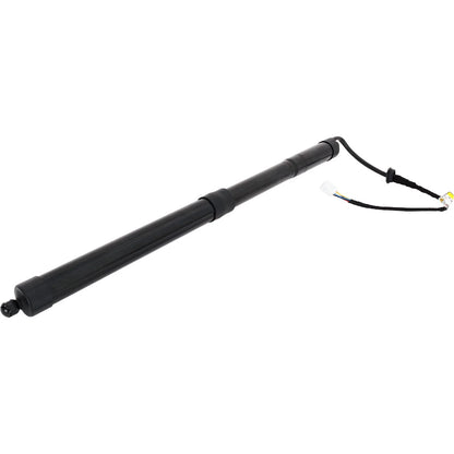 Liftgate Lift Supports for - Set of 2, Left & Right