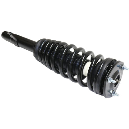 Strut Set of 2