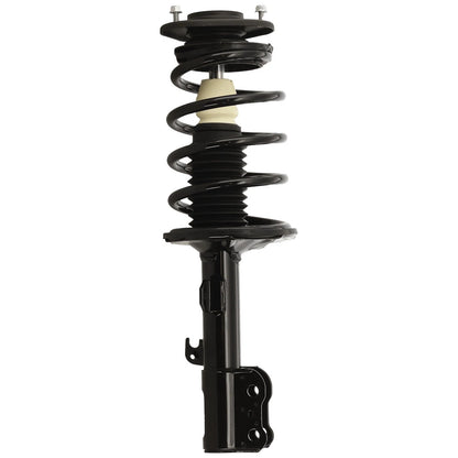 Strut Set of 4