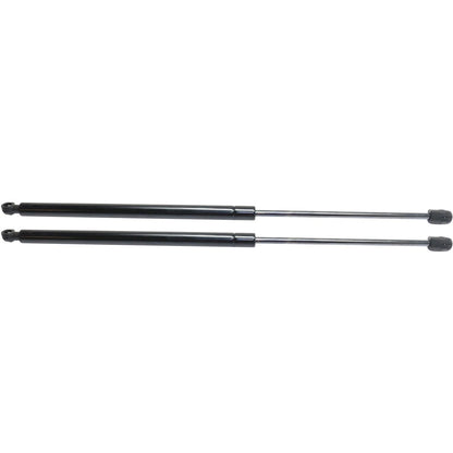 Lift Support Set of 2 for Hyundai Santa Fe (2001–2006)