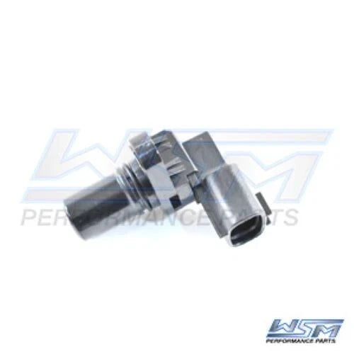 WSM Sensor for
