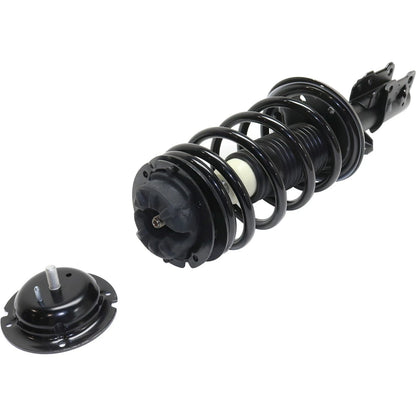 Strut Set of 2 for Left Right Pair