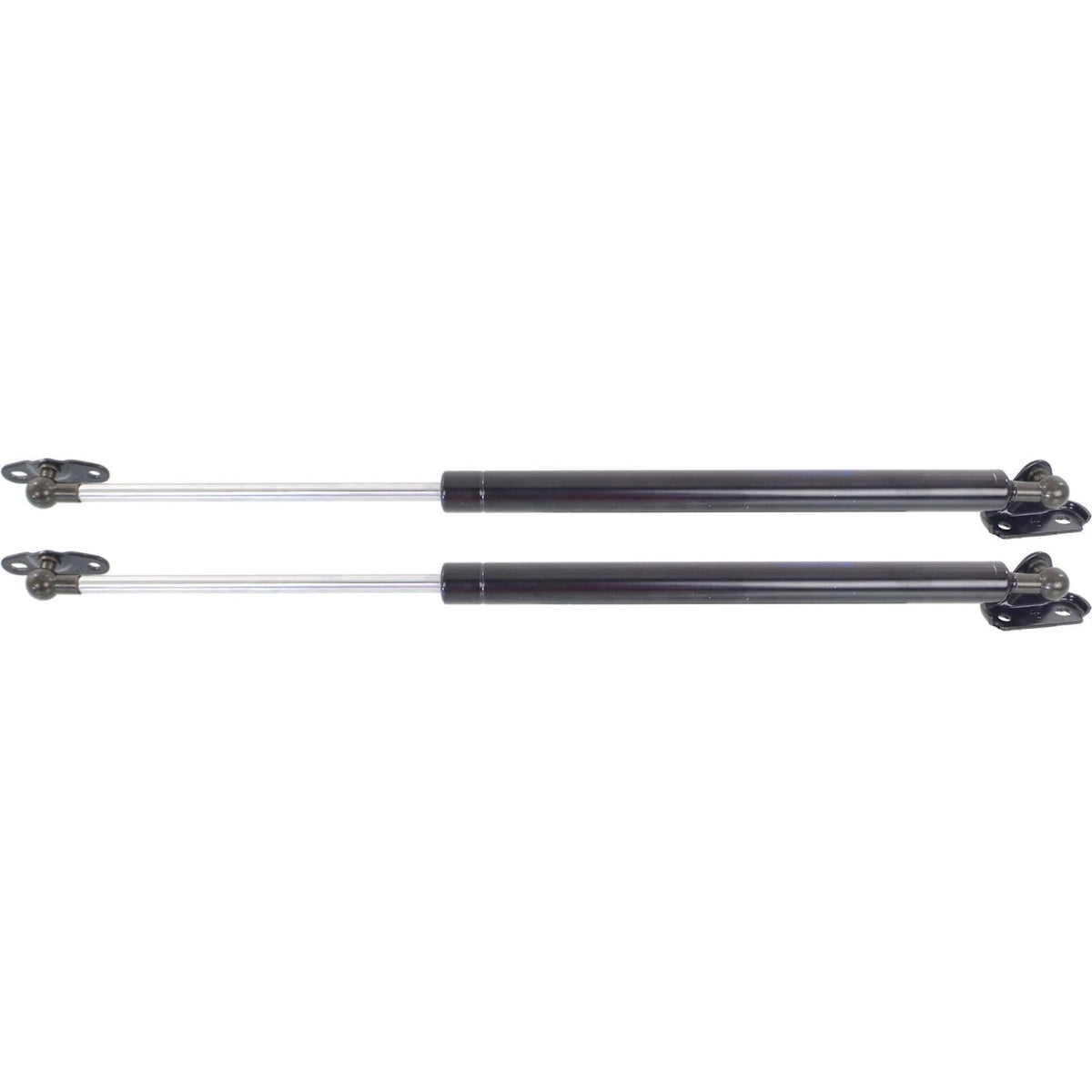 Lift Support Set for Lexus RX330 RX350 (2004–2008)