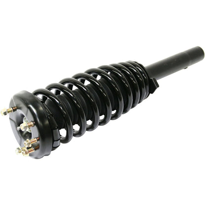 Set of 2 Loaded Struts