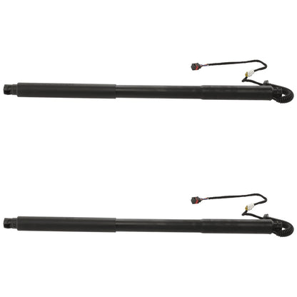 Liftgate Lift Supports Set of 2 for