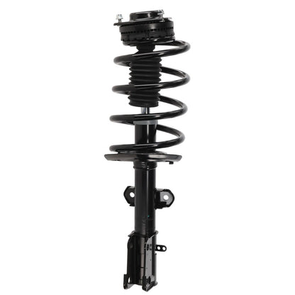 Set of 2 Struts