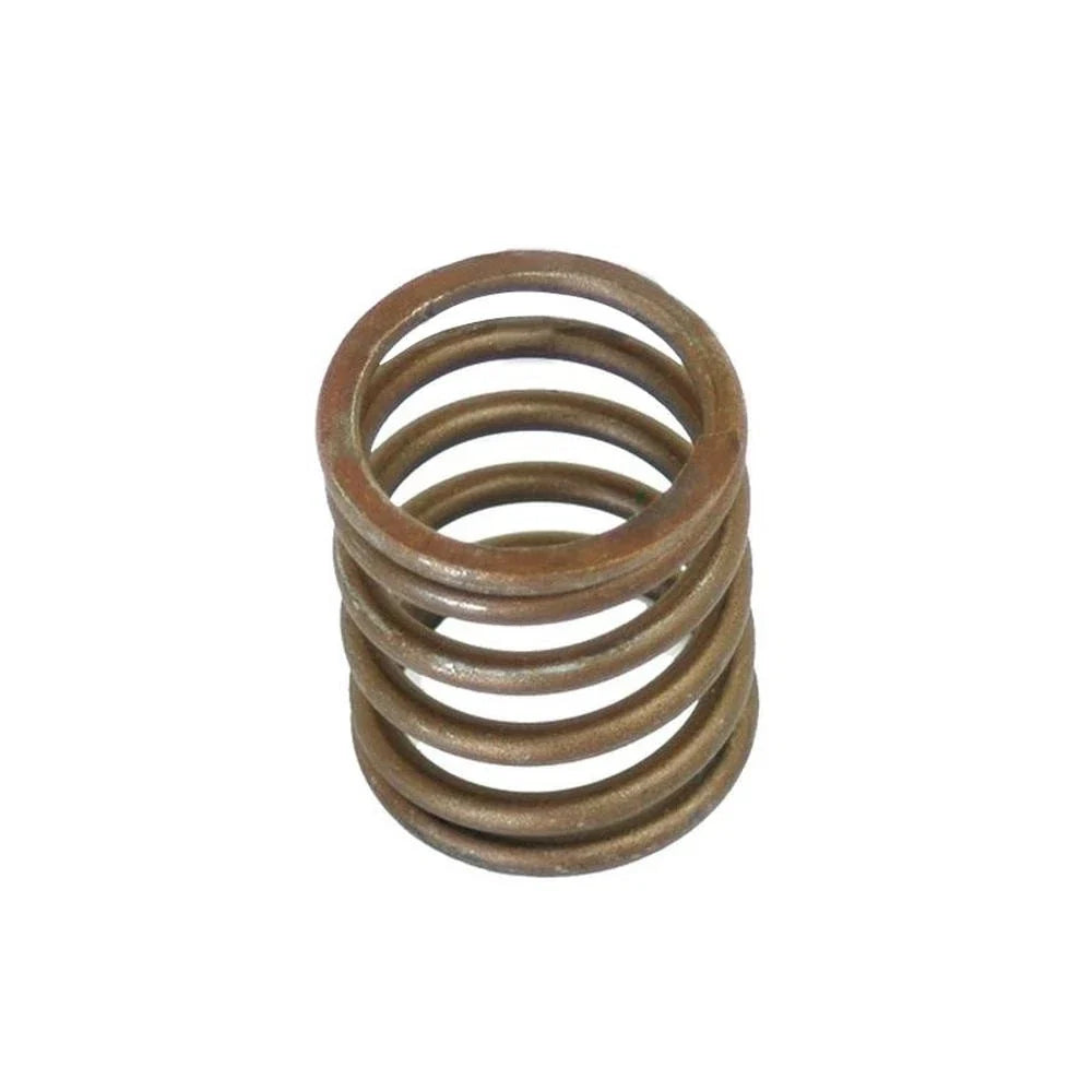 Valve Spring for Massey Ferguson (S.30015)