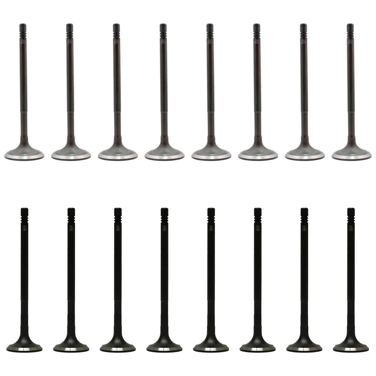Set of 16 Intake & Exhaust Valves Kit for Mercedes R172 SLK250 W204 C250 1.8L Turbo