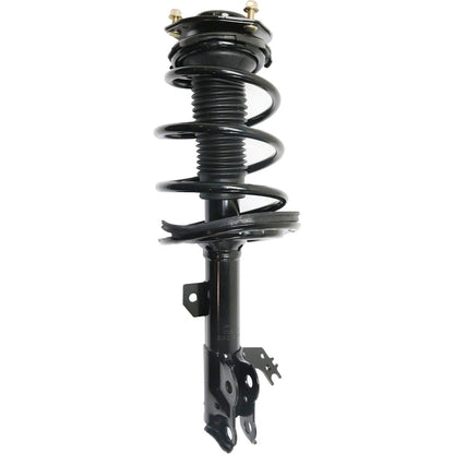 Set of 2 Struts
