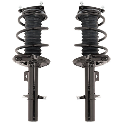 Set of 2 Loaded Struts