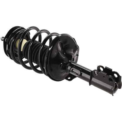 Strut Set of 4